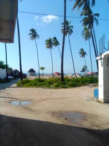 a group of palm trees on a sandy beach at Arham Nungwi Beach in Nungwi