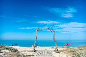 two trees on a beach with the ocean in the background at Su Tostoiu alloggio privato in Càbras +15 photos