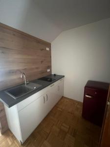 a kitchen with a sink and a counter top at Pension Zimmermann in Unteruhldingen +55 photos