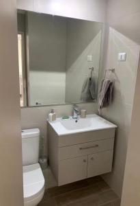 a bathroom with a sink and a toilet and a mirror at Bello departamento av del mar in Coquimbo