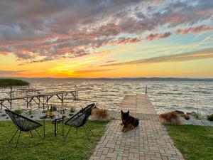 a dog sitting on a pier near a body of water at Zöldpart Villa in Balatonszárszó