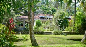 a house in the middle of a yard with trees at Luminosium Nature Retreat & Heritage Forest Garden in Pannala