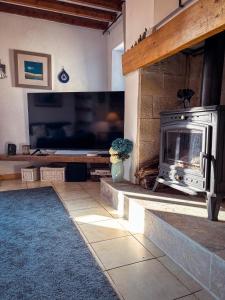 a living room with a fireplace and a tv at Le Marronnier in Montchauvet
