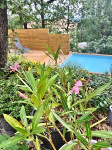 a garden with pink flowers and a swimming pool at Entre Terrasses et Restanque - Pierrevert in Pierrevert
