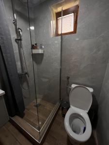 a bathroom with a shower and a toilet at brown bear lodge in Žabljak +17 photos