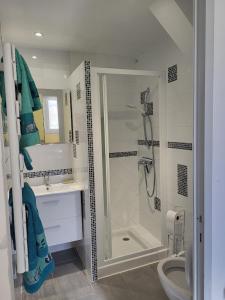 a bathroom with a shower and a toilet and a sink at Paisible T2 climatisé avec jardinet in Béziers