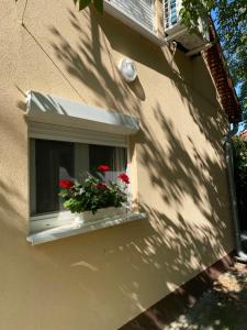 a window with two red flowers on a window sill at KissKovács Lak in Cserkeszőlő
