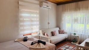 a bedroom with a bed and a couch and a window at Sapanca Eren Villa-Isıtma Havuzlu in Sapanca +118 photos