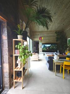 a living room with a plant on the ceiling at Casa del Quadro in Chios