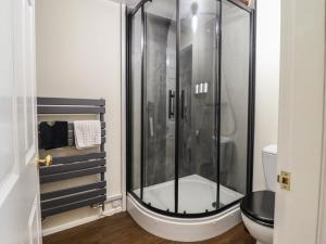 a shower in a bathroom with a toilet at Plas Dolguog in Machynlleth +70 photos