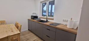 a kitchen with a counter with a sink and a window at Dominikówka in Dominikowo
