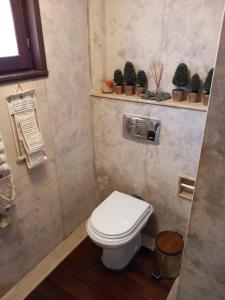 a bathroom with a toilet and some plants on the wall at Elis superb house in Psathíon +37 photos