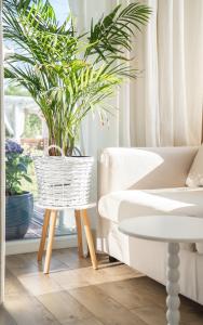 a living room with a white couch and potted plants at Coco Beach Cupel - Domek AQUA z jakuzzi in Cupel
