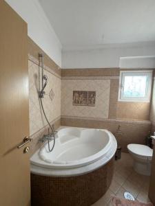 a bathroom with a large tub and a toilet at Villa Kastri in Igoumenitsa