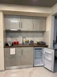 a kitchen with stainless steel cabinets and a sink at Apartman Velickovic in Paralia Katerinis