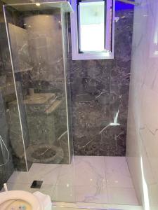 a bathroom with a shower and a toilet at Apartman Velickovic in Paralia Katerinis