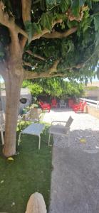 a group of benches sitting under a tree at rev'hotel in Vias