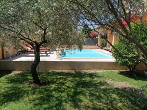 a swimming pool in a yard with a tree at Chambre 2 personnes in Saint-André-de-Sangonis