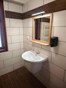a bathroom with a white sink and a mirror at Riegrova Chata Kozákov in Semily +57 photos