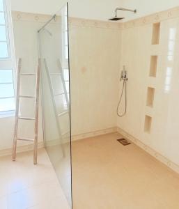 a shower room with a ladder and a glass shower stall at Bord Mer House in Glacis +11 photos
