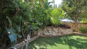 a garden with a pool of grass and trees at בית שבט אחים in Hatzor haglilit