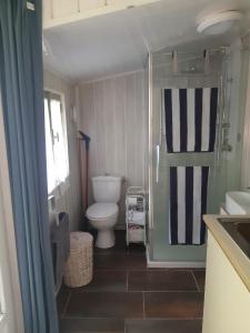 a bathroom with a toilet and a shower and a sink at La Biro in Pornic +34 photos