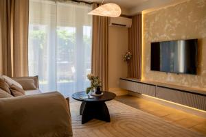 a living room with a couch and a tv at 1 Peraudel Suite & Appartements in Castres