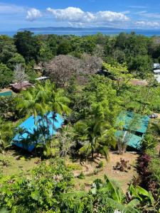 an aerial view of a resort with trees and a pool at Dolphin Quest Apartment #1 in Pavones