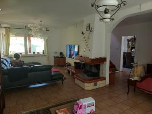 a living room with a couch and a fireplace at Huis bij basel in Hésingue