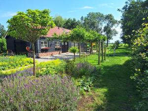 a garden with purple flowers in front of a house at B&B De Oase in Bergambacht