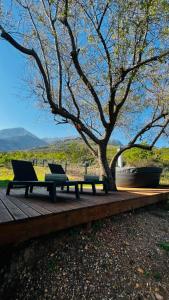 two benches sitting on a wooden deck under a tree at Die Kothuis in Wolseley