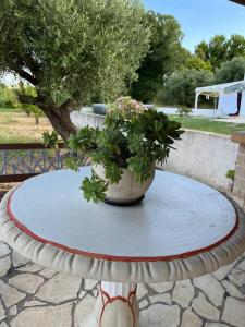 a table with a potted plant on top of it at Olive Tree Villa in Preveza