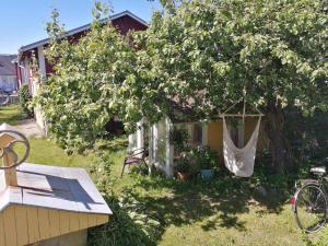 a tree with a hammock hanging from a house at Foggy Island B&B in Kaskö