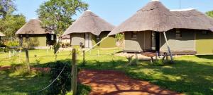 a group of huts with thatched roofs in a field at Tsetsebjwe Lodge in Baines Drift
