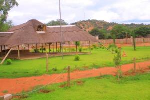 a hut with a grass roof in a field at Tsetsebjwe Lodge in Baines Drift