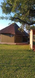 a building with a thatched roof in a field at Tsetsebjwe Lodge in Baines Drift