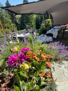 a bunch of flowers in a garden with tables at Hotel Bel Air Trail & Wellness in Echternach
