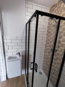 a bathroom with a shower and a sink at Guramishvili 7 in Kobuleti +11 photos