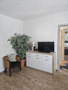 a living room with a tv and a potted plant at Apartman sunny green in Sveti Juraj