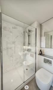 a bathroom with a shower and a toilet and a sink at Large Luxurious Studio, Dublin18 in Dublin