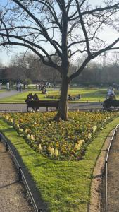 a park with a tree and a bunch of flowers at Large Luxurious Studio, Dublin18 in Dublin +4 photos