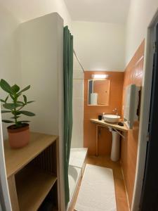 a small bathroom with a shower and a sink at APPARTEMENT Malana in Nîmes