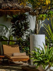 a table with a chair and plants in a garden at Tamu Tamu Boutique Hotel in Pwani Mchangani