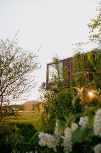 a building in a field with flowers in the foreground at Posed Müslivna in Jablonné v Podještědí +11 photos