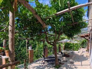 a patio with a tree and chairs and an umbrella at Casale Gelsi in Maiori