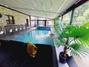 a swimming pool with chairs and a plant in a room at Villa VIP in Welkenraedt