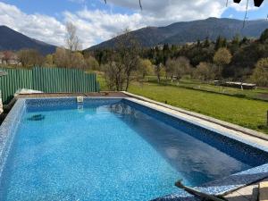 a swimming pool with a view of the mountains at Sadyba u Anastasijky in Synevyr