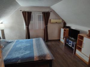 a small bedroom with a bed and a television at Vikend house Cvrcak in Slankamenački Vinogradi +21 photos