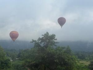 two hot air balloons are flying over a tree at The Big Brother Mouse Hostel in Vang Vieng