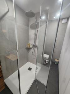 a shower with a glass door in a bathroom at Une escapade en Provence in Pertuis +8 photos